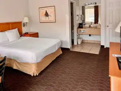 St. George Inn and Suites - 67