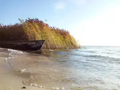 Домик в соснах - 3