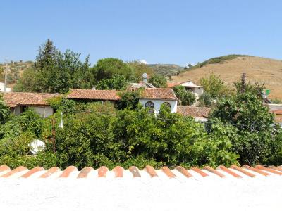Villa Dreams - 15