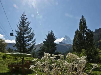 Plateau Rosa - 30