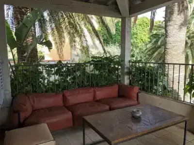Pastis St Tropez - 30