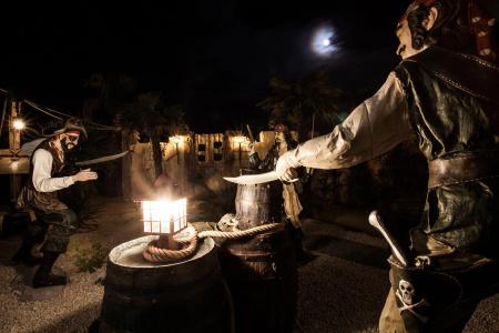 Hôtel Cap Pirate - 33
