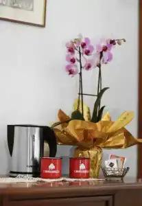 Residenza Cecchi b&b - 4