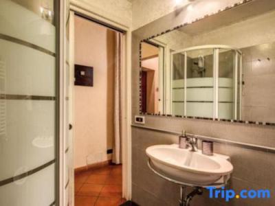 Magenta Luxury Fico - 47