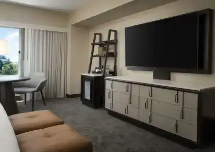 Hyatt Regency - 43