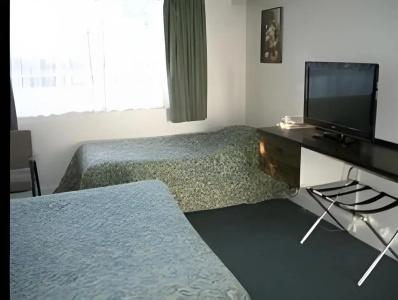 Braemar Motor Inn - 12