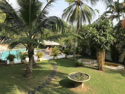 Tropical House - Jungleside Villa - 17