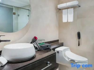 Holiday Inn Nanjing Aqua City, An Ihg - 131