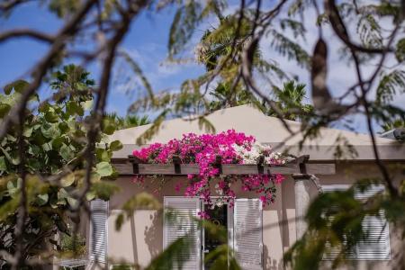 Caybeach Princess - 124