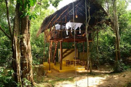 Back of Beyond - Pidurangala - 67