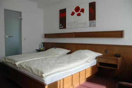 Pension Haus Diefenbach - 36