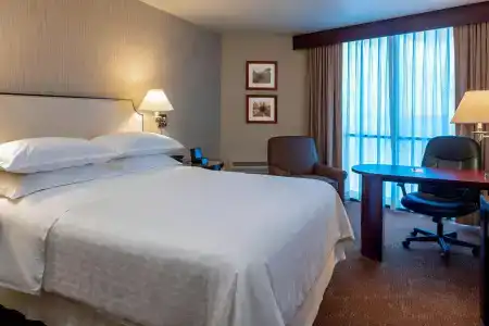 Sheraton Houston Brookhollow - 52