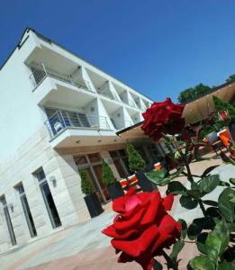 Villa Rosetta - 0