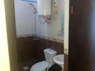 Сакура - 0