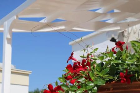 Mare Relax - 56