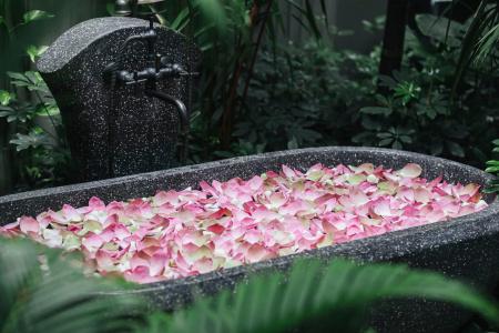 Shinta Mani Angkor & Bensley Collection Pool Villas - 178