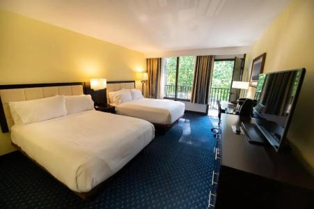 Holiday Inn Regency, An Ihg - 57