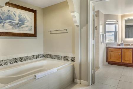 Hilton Grand Vacations Club SeaWorld Orlando - 41