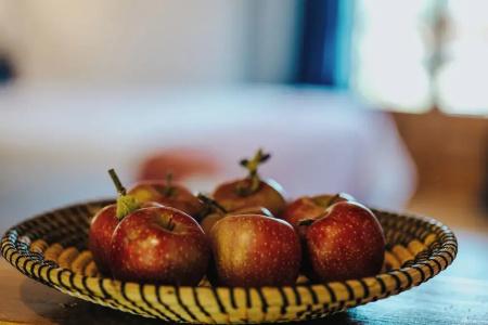 Orias Guesthouse & Farm - 41