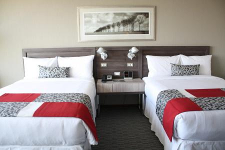 Radisson Blu Plaza El Bosque - 3