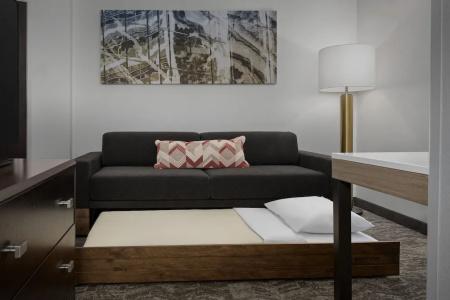 SpringHill Suites by Marriott Portland Vancouver - 53