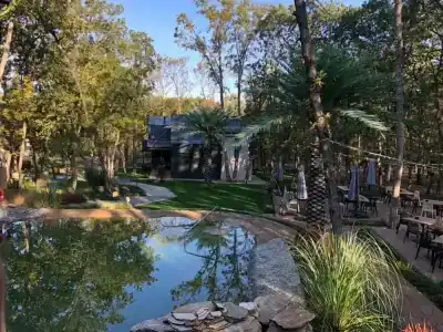 Utopia Forest - 26