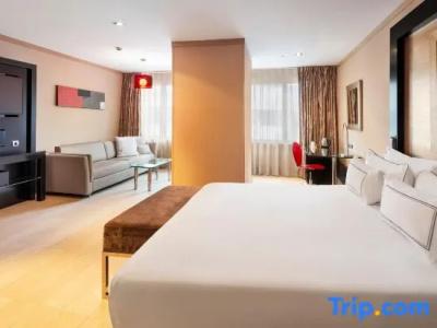 Melia Madrid Princesa - 119