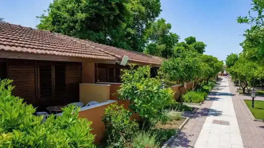 Ozlem Garden - 59