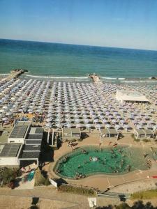 Alexandra - Colazione XXL & Brunch fino 12 e 30 - 24