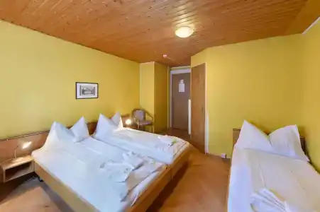WaldUnspunnen - 50
