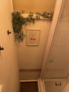 Fox-Box Dresden - 36