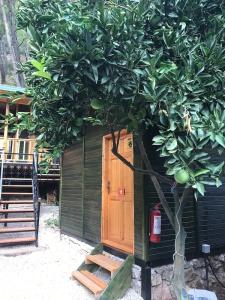 Olympos Yakamoz Pansiyon - 12