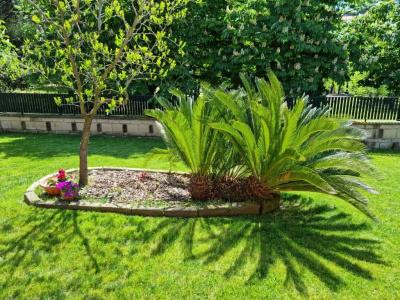 Il Casale nel Parco Guesthouse - 14