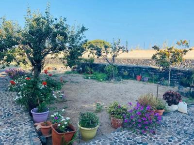 Dagris Villa Studios - 9