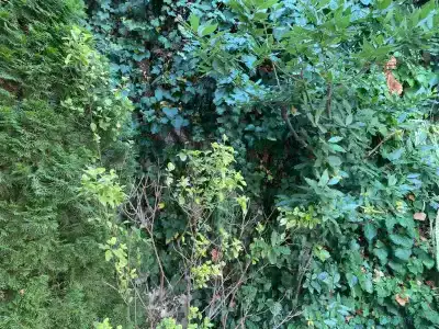Визит - 2