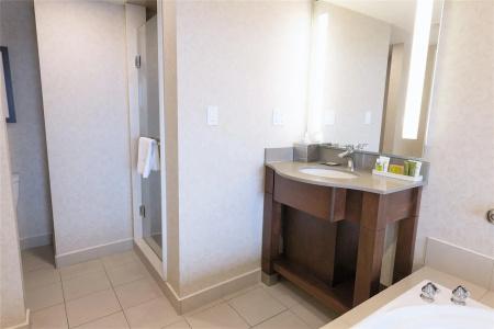 Hilton/ Fallsview and Suites - 60