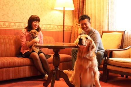 Izumigo Takayama Dog Paradise - 2