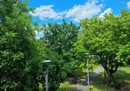 Cairns Private - 159