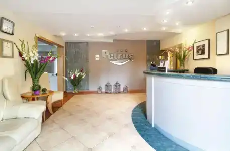 Petrus - 1