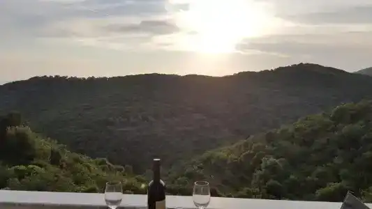 Belvedere - 63