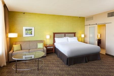 Holiday Inn Austin -Town Lake, An Ihg - 49