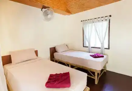 Shiralea Island Resort - 26