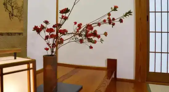 Suginoya - 11