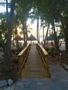 Seafarer and Beach - 45