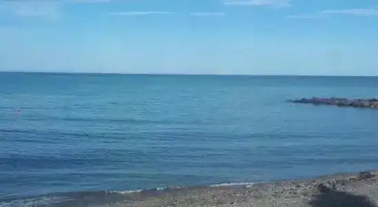 Алеандр - 12
