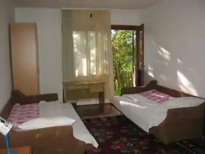 Guest house Pribojska Banja - 9
