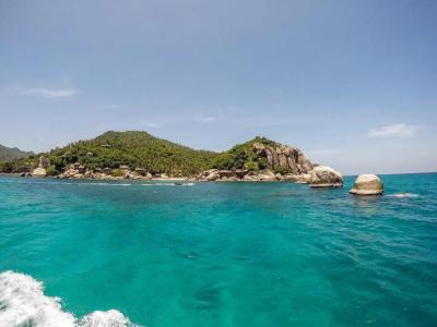 Dpm Koh Tao Diving & Bar - 9