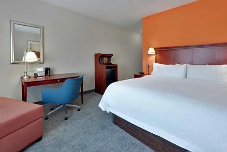 Hampton Inn & Suites I-20 - 82