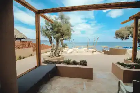 The Theodore Boutique - 18