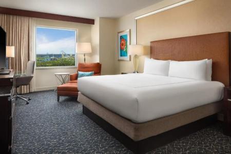 Hilton Orlando - 37